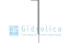 Перегородка-сифон для дождеприёмника Gidrolica® Point 30.30 пластиковая